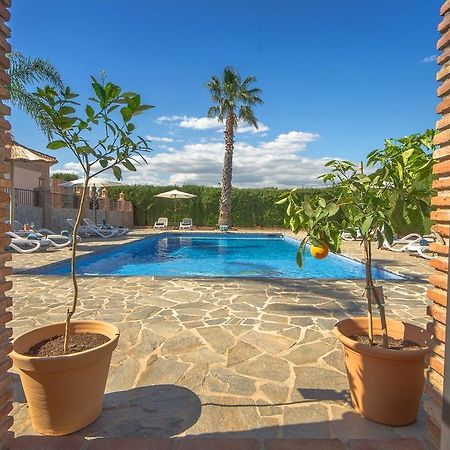 Villa Conmigo Bed & Breakfast Алаурін-де-ла-Торре Екстер'єр фото